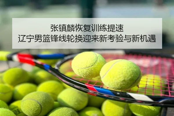 张镇麟恢复训练提速 辽宁男篮锋线轮换迎来新考验与新机遇